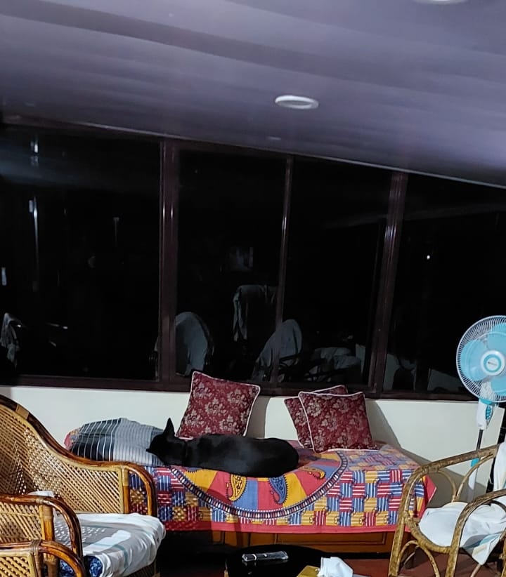 GsdRubyR's tweet image. Della, after a tiring day of running after chickens!!
#della #indiandpets #india #dogs #indiandogs