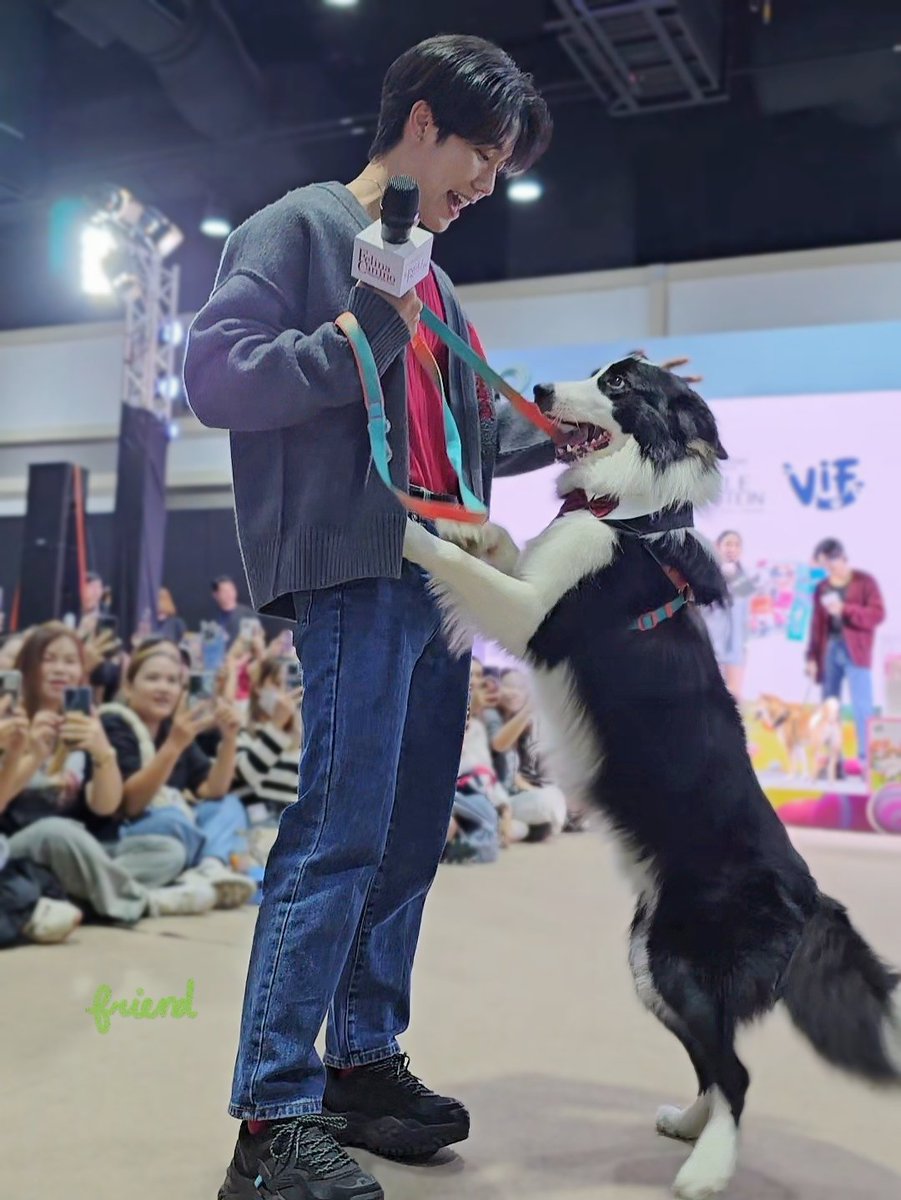 F_fsammy's tweet image. ความน่ารักที่พบเจอในวันนี้🥺#VIFinWonderlandxYWZS #warwananarat #sammerbcollie