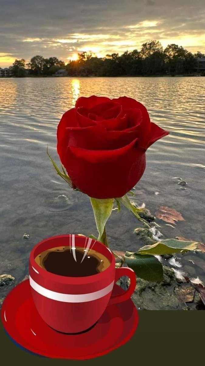 XRPRITqXo7dGKRA's tweet photo. @AlsatyAmal يسعد لي مساك صحتين وعافيه على قلبك https://t.co/8OlRDQd1FI