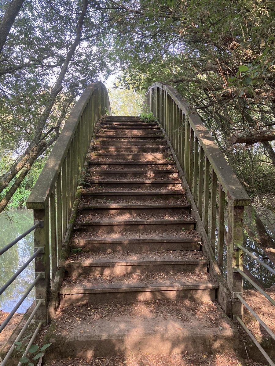 dmsmiff's tweet photo. Leg 5 of our @TheThamesPath walk yesterday. Another great day by the river between Tadpole Bridge and Northmoor Lock. Pity the Plough in Appleton had a burst pipe, but at least we knew before we set off, so dinner at the Maybush in Newbridge before finishing our days walk. https://t.co/K1HlKfg7Zr