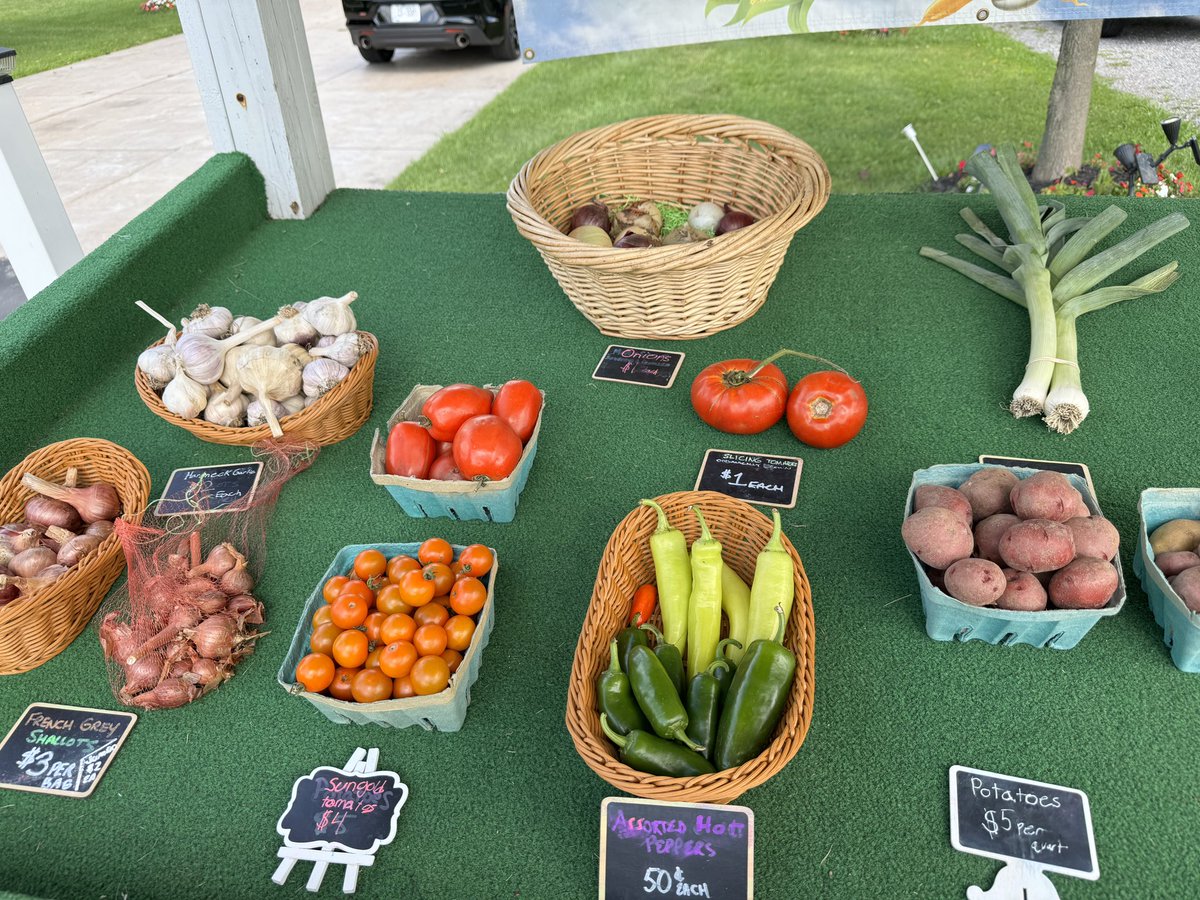 The roadside stand is back!! Stop by anytime before dark 13424 Stage Road, Newstead for fresh, grown on-site veggies 🍅, 🥔, 🫑, 🌶️, 🧅, 🧄, leeks, and tapped/processed on-site #NYMaple 🍁 Syrup as well as a host of NYS Maple Products. If you don’t see it, ask, we can pick it!