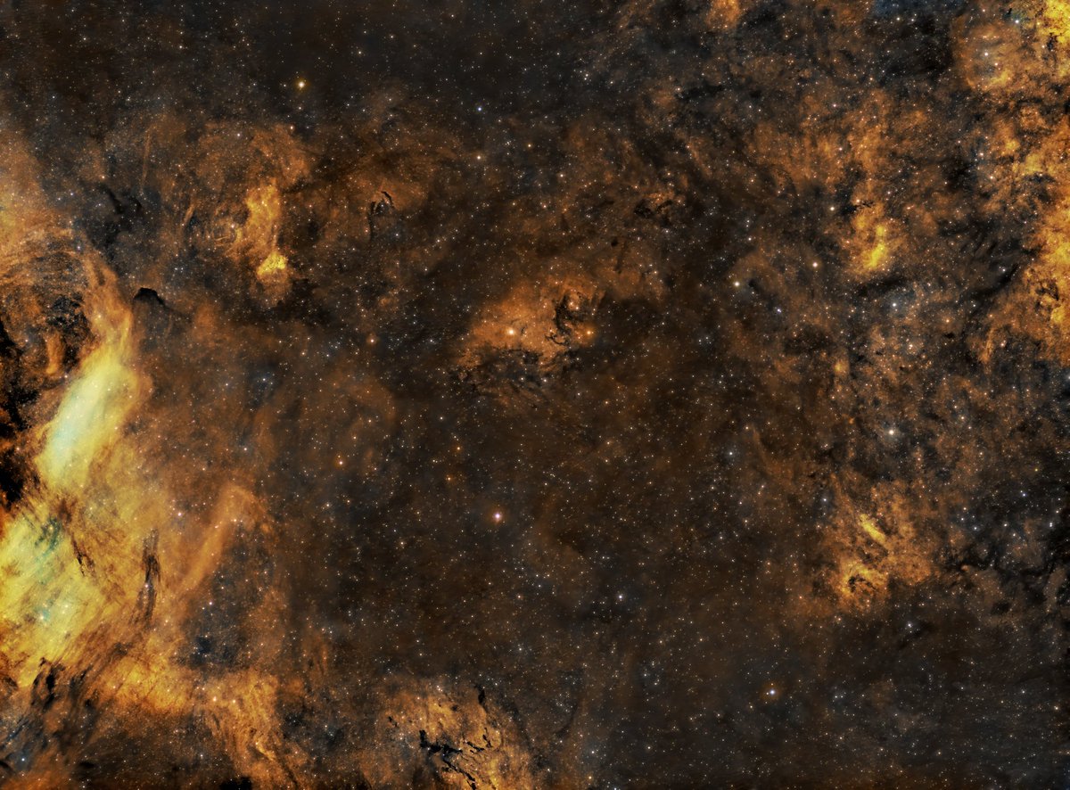 urmymuse2's tweet photo. This region of the milky way in Cygnus is known as the Northern Coal Sack. Lots of dark nebula and not much else! Just less than 19hrs exposure time from the patio here in Leeds #Astrophotography #Astronomy https://t.co/0r0cWHHp4P