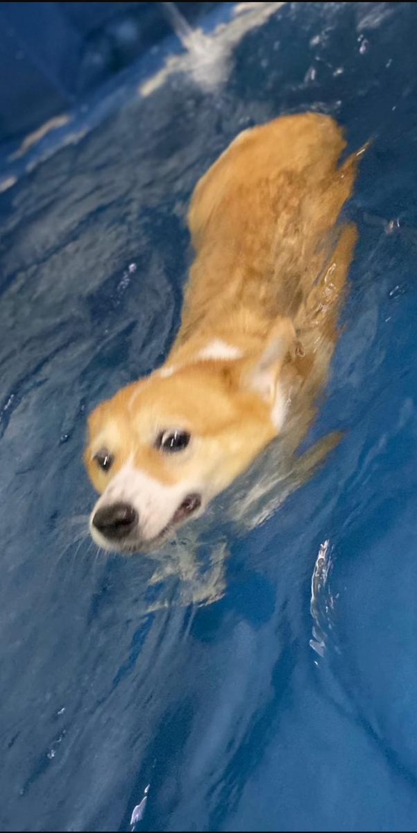 very demure, very mindful