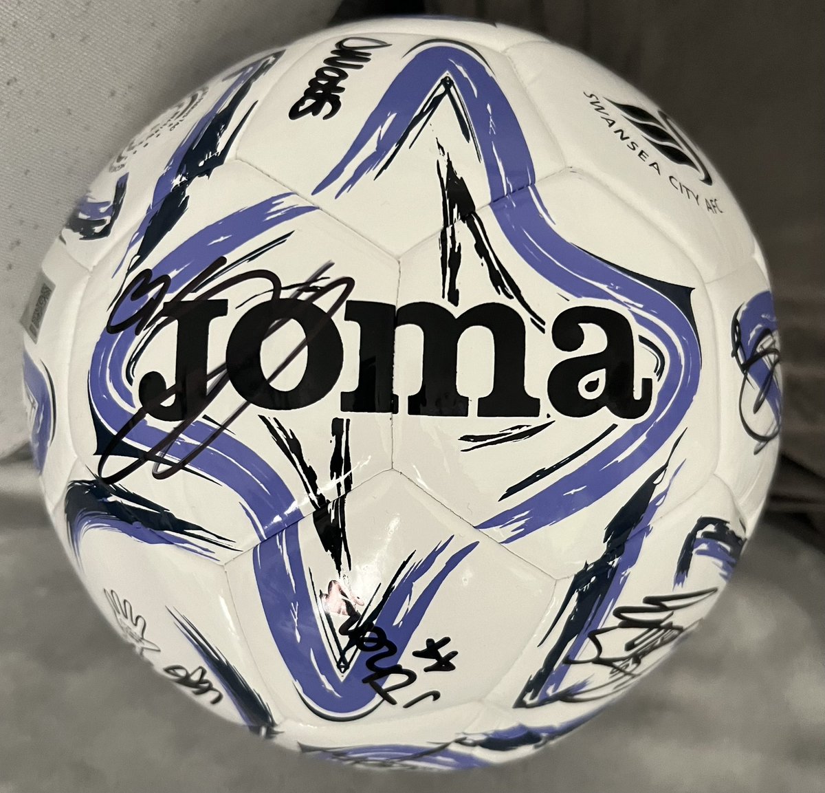 garryleechswans's tweet photo. Ball bought and 15 signatures are on it thanks to my own JB 🦢

Another 6 players to sign it ASAP and then I’ll be auctioning it off with all money raised going to @WhizzKidz whom I’m running the London Marathon for 💪🏻

Keep an eye out in the next few weeks if you want to bid 👍🏻 https://t.co/vJWFgfIzYU
