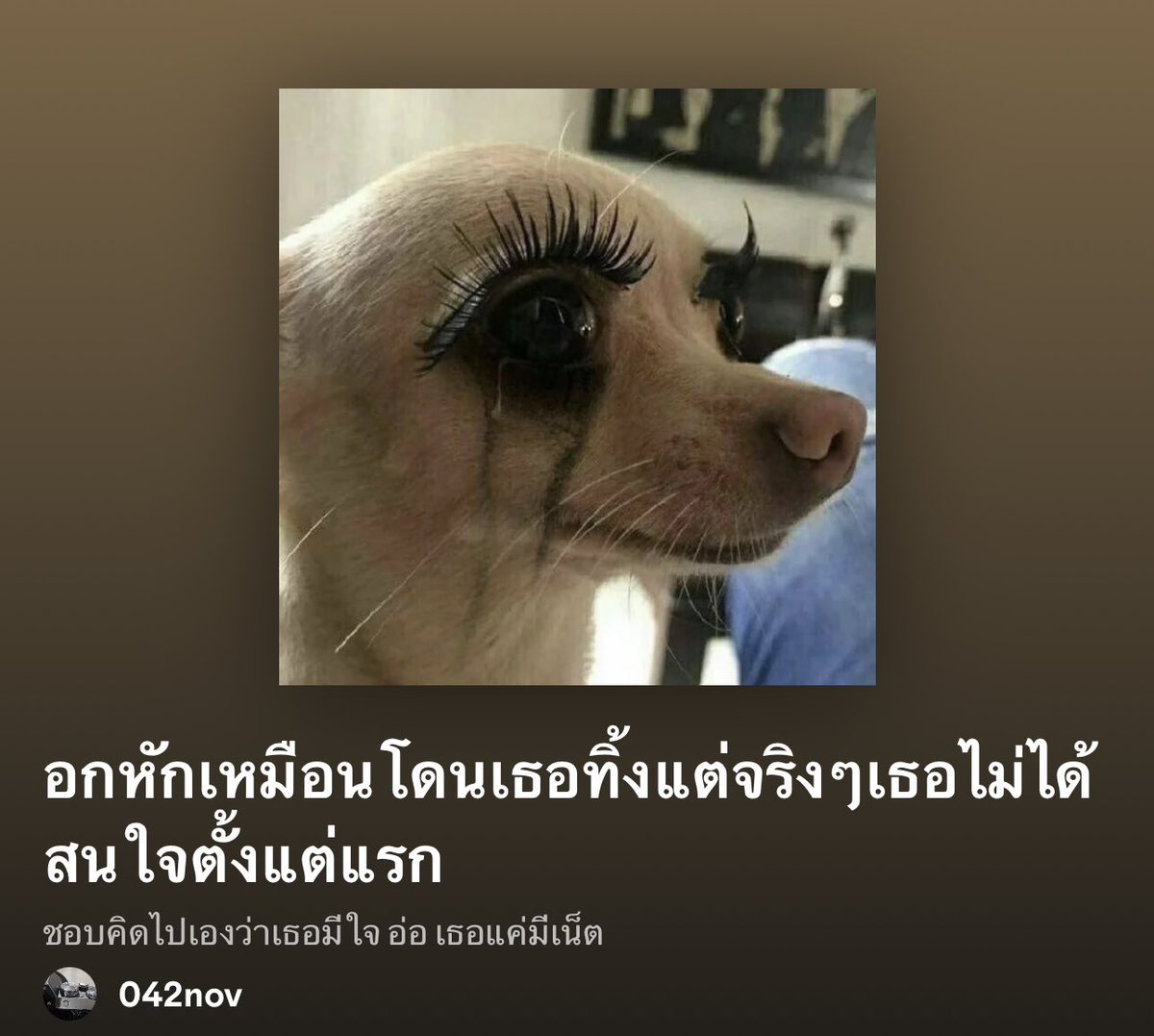 私 tweet media