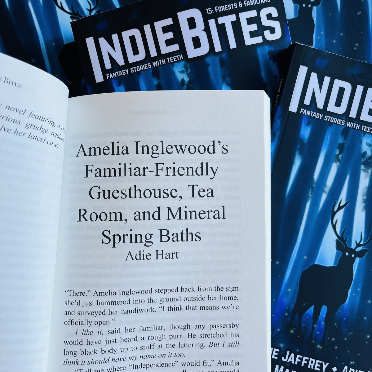 Guests eating one another? At the first breakfast? This didn’t feel like a very auspicious start to the guesthouse’s career. 
📖
Amelia Inglewood’s Familiar-Friendly Guesthouse, Tea Room, and Mineral Spring Baths by Adie Hart <a href="/adiehartauthor/">Adie Hart</a>

FREE here:
silversunbooks.com/post/forests-f…
