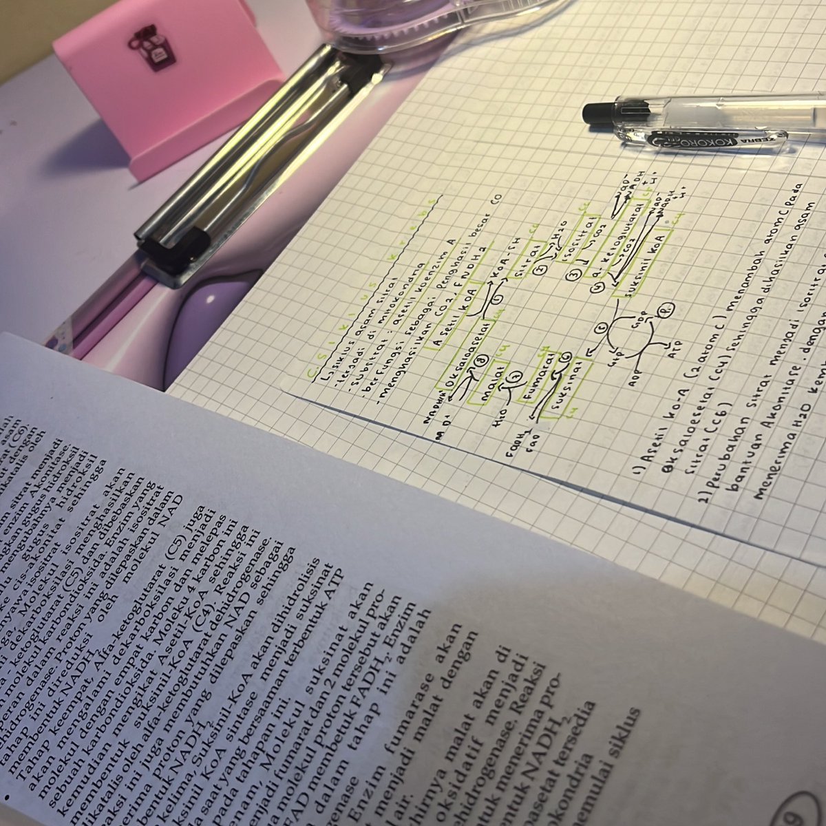 fifi ૮ ․ ․ ྀིა tweet media