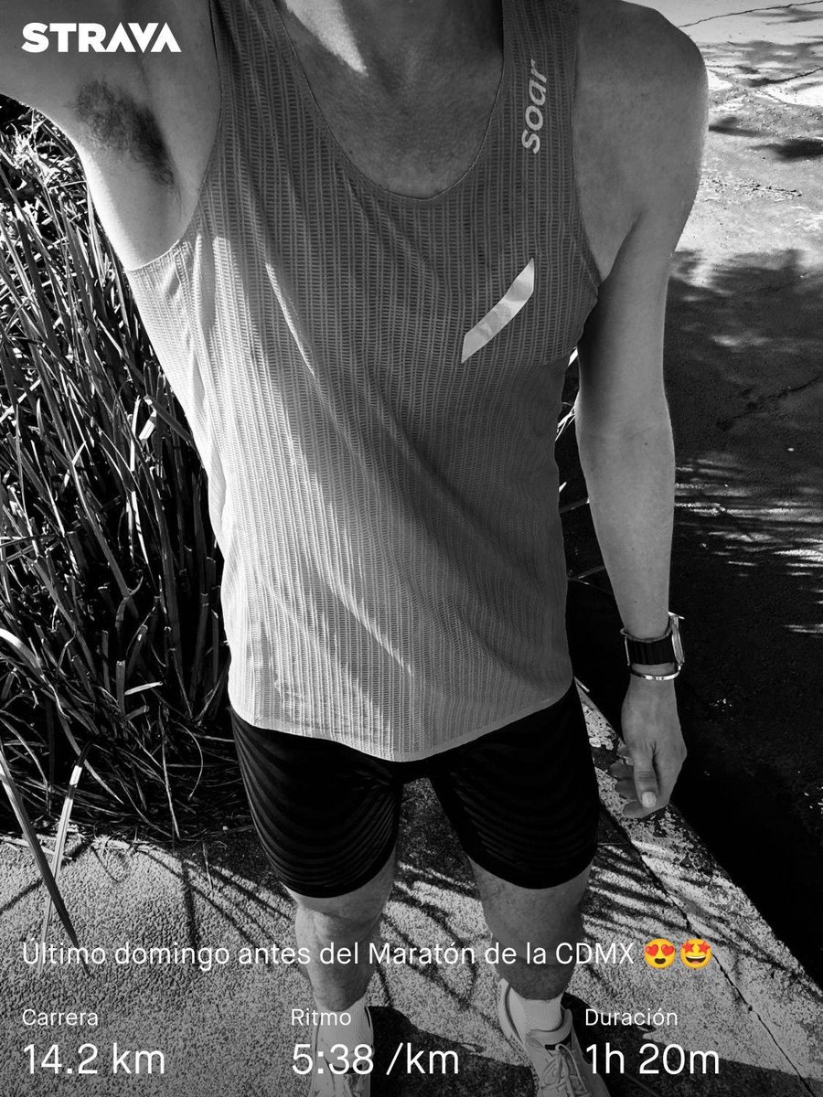 Hoy se corrió la última distancia previa al <a href="/MaratonCDMX/">Maratón de la Ciudad de México Telcel</a>. Estamos listos 🫶🏻