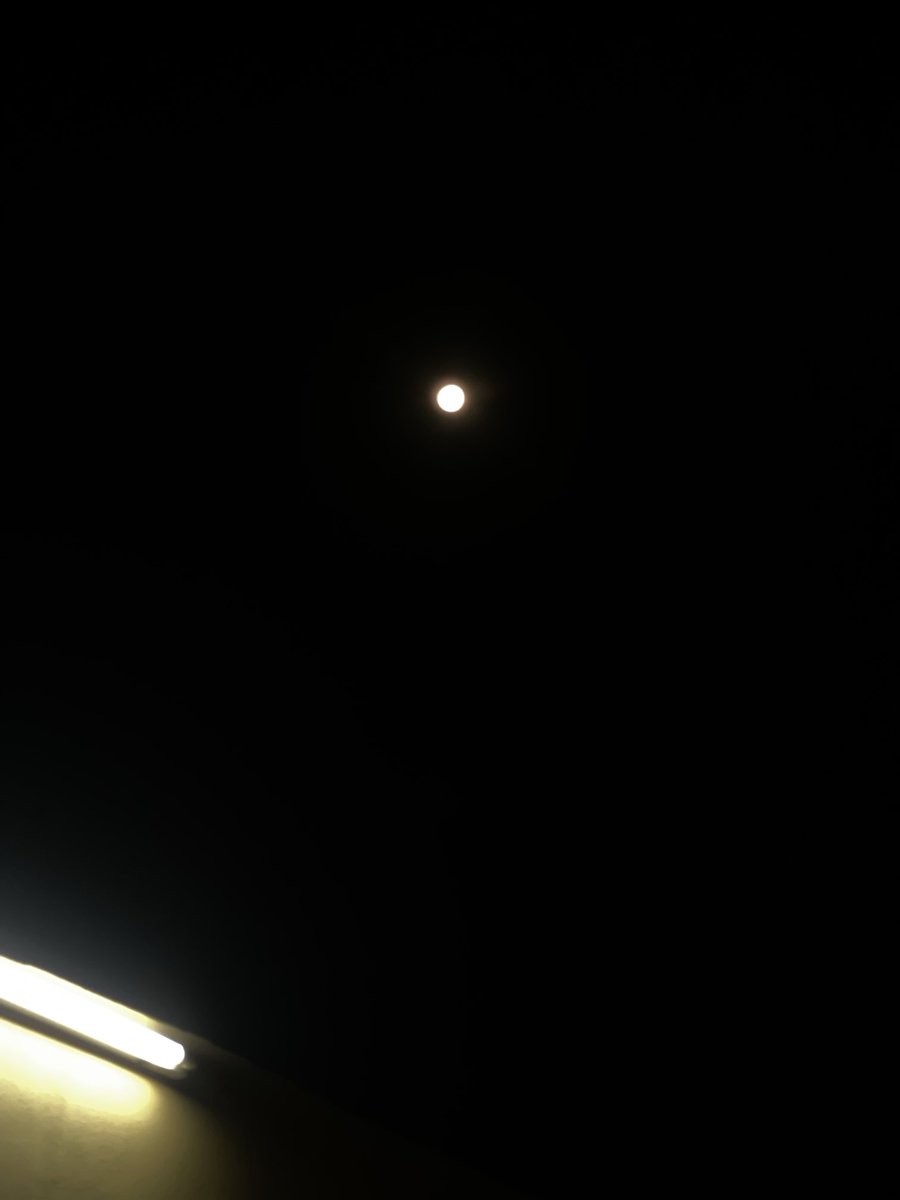 ام محمد tweet media