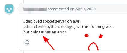 Why c#?