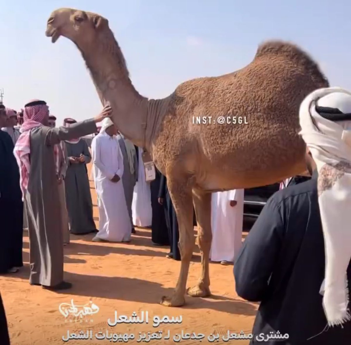 يستاهل الزيادي 
مشعل بن جدعان 🏆🏅👍
جعل ربي يبارك لهم 
سمو صفقه تاريخيه تكتب بماء الذهب 
تعيد تاريخ جلاده والحاكمه وعشق الجماهير للوسره والفخامه الملكيه 
جعلها ماتفقد راعيها 
كفو كفو كفو يالزيادي
