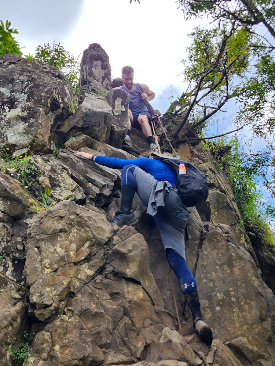 Low in elo; high in spirit