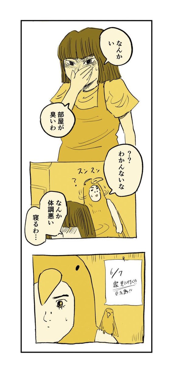 【夫婦で移住した福岡の家が恐怖物件だった話】14/17 