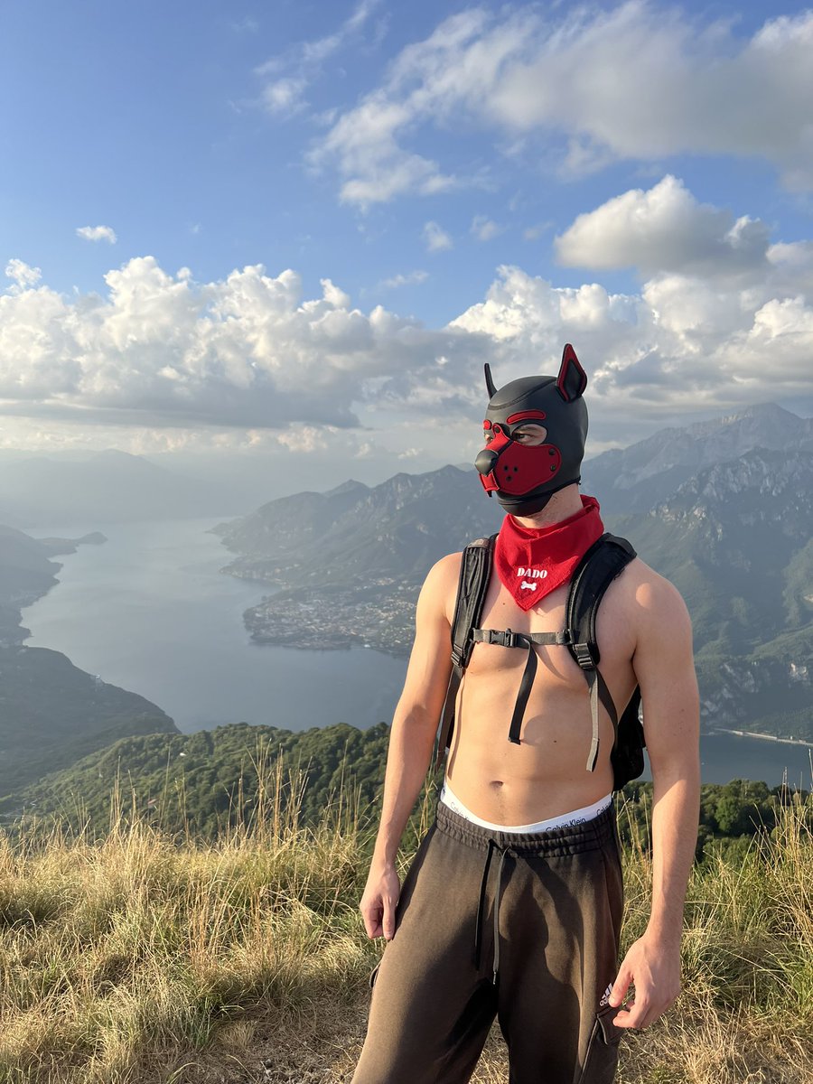 PupDado's tweet photo. Trekking doggo https://t.co/m8BNiIMgGm
