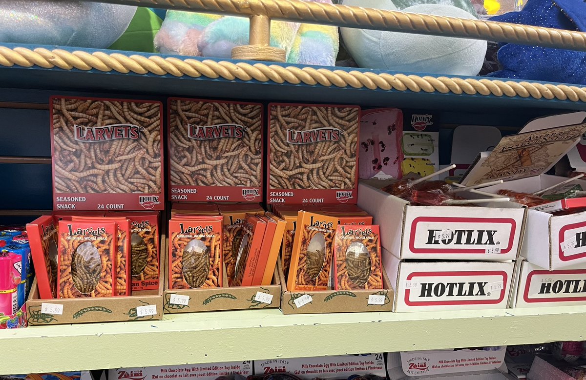 Nea_Titi's tweet image. Vil you eat ze bugs? 
#BigApple #Colborne #Ontario