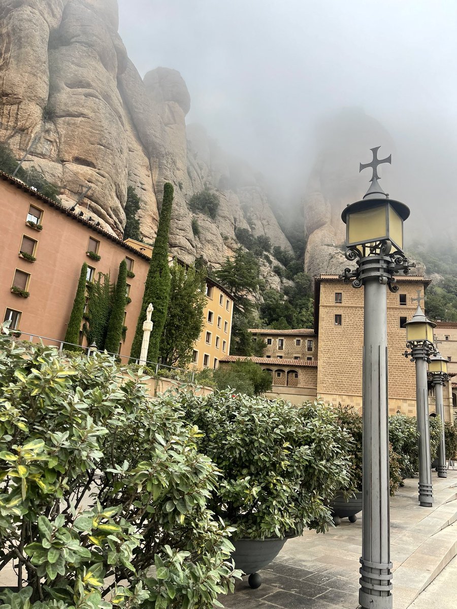 David Montejano Bravo tweet media