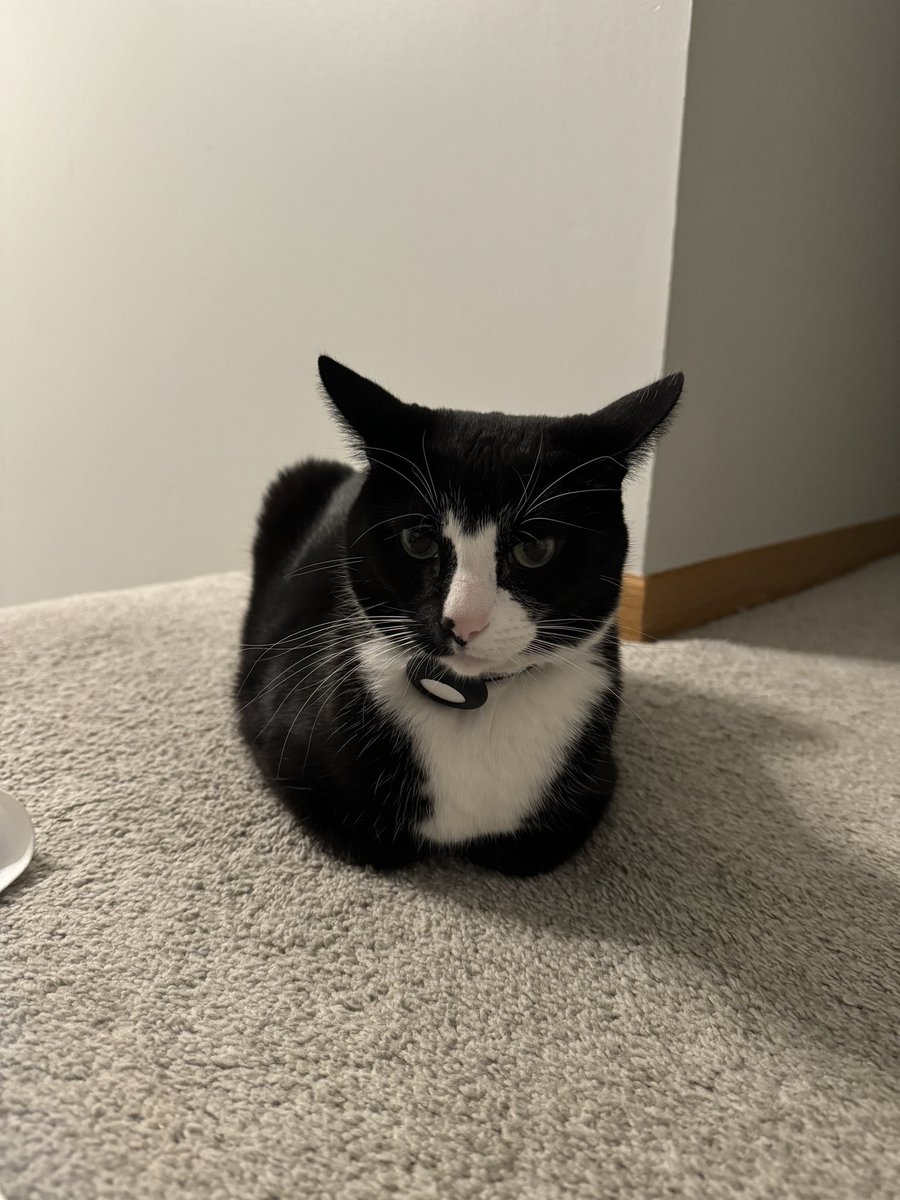 the loaf is ready for takeoff