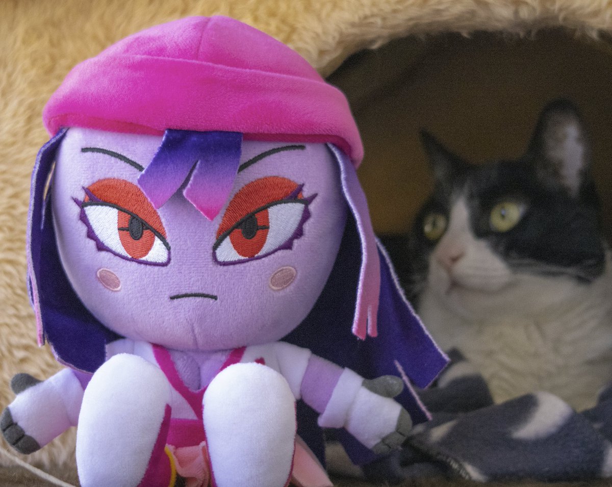LakeFeperd's tweet image. Cat not included.
5 days left and we&apos;re 77% of the way there.
Unlike previous plushies, I may not be able to purchase the remaining so it gets made so this might be your only chance to get her.
makeship.com/products/float…