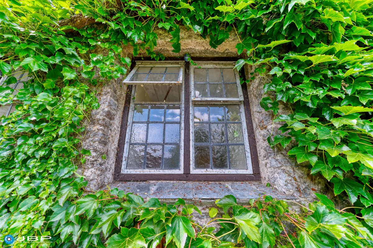 JBPhotos_UK's tweet photo. I was going to post this one for windows & #WeekGforGreen, but didn't so as it's so green, I shall post it as my final #AlphabetChallenge... https://t.co/H15BZmTbqj