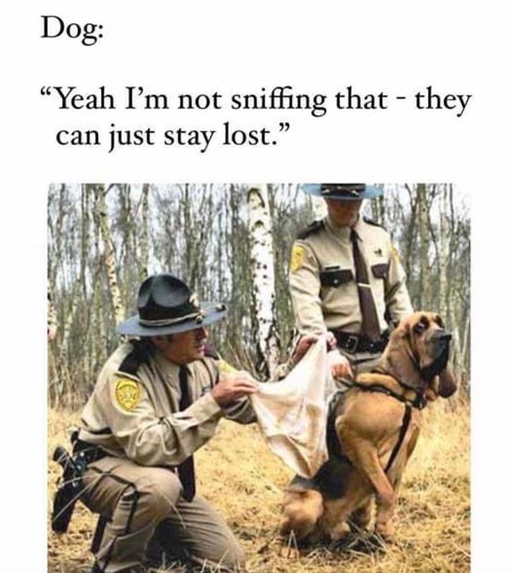 Dalbodog's tweet image. Toooo funny ☺️