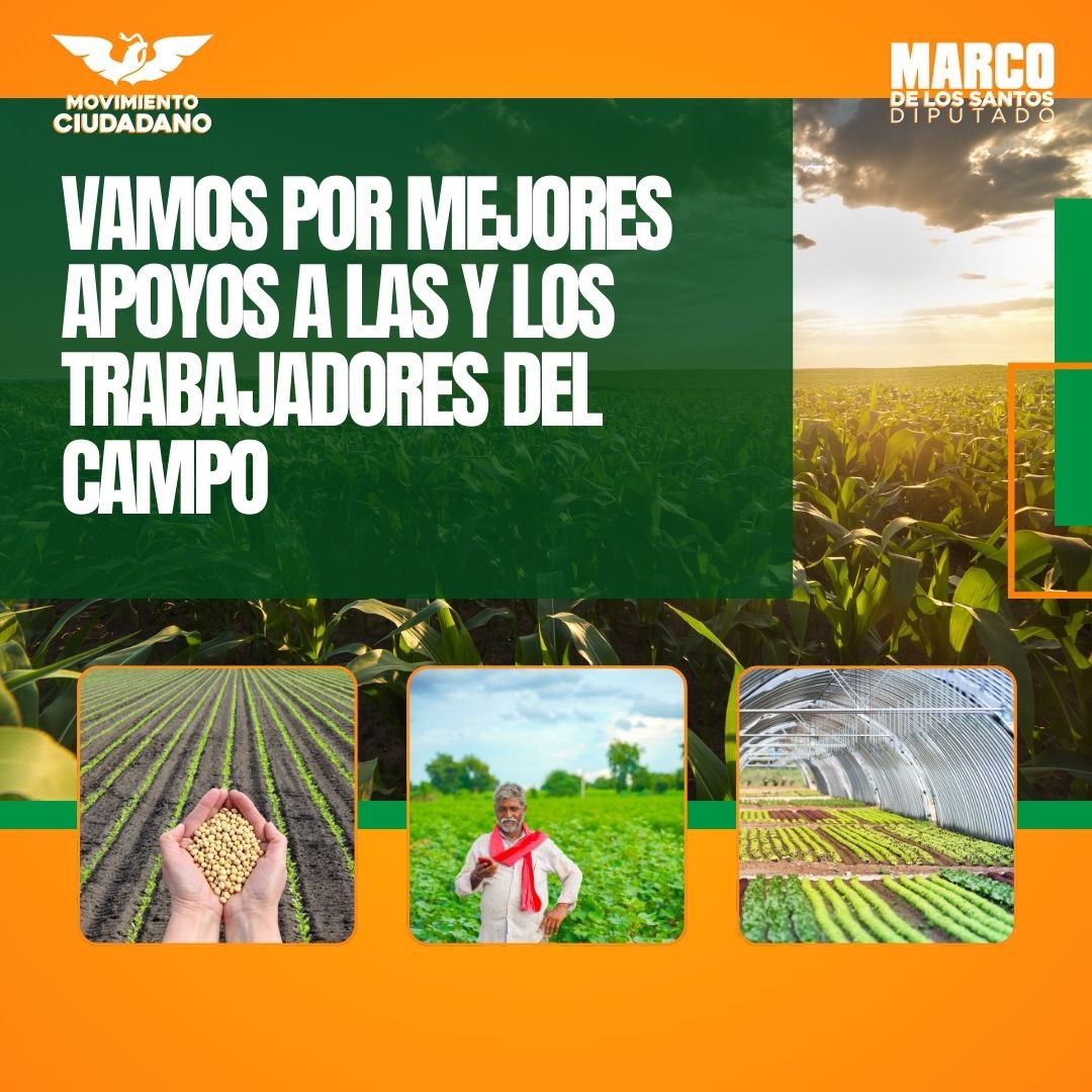 mdlsantos's tweet photo. ¡Nuestro compromiso es con quienes siembran el futuro de Puebla! Vamos por mejores apoyos a las y los trabajadores del campo. 🌾 #MovimientoCiudadano #ApoyoAlCampo #Puebla https://t.co/l7z5DwgZOW