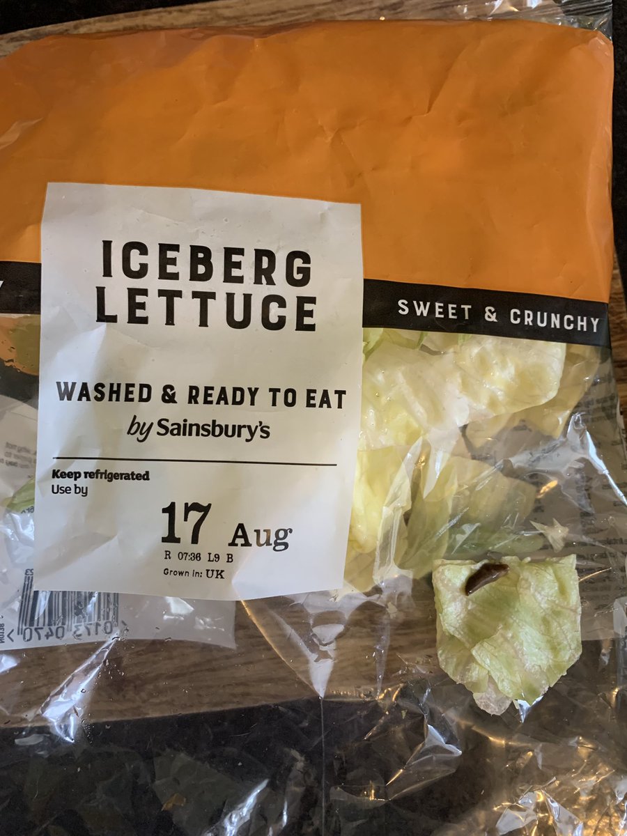 SDA111's tweet image. I went to eat this yesterday and suddenly lost my appetite. Not washed well enough @sainsburys put me right off ! #slug #lettuce #prewashed #bork