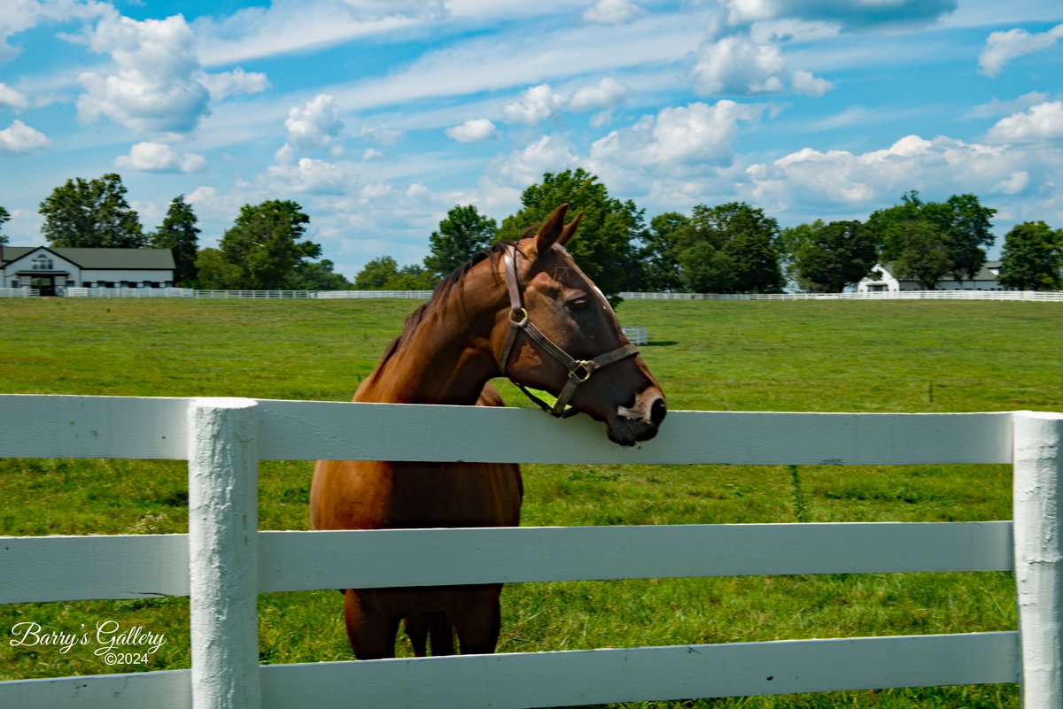 Barry Fowler 📷 tweet media