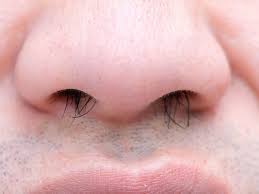 healthprefectt's tweet photo. 🚨 The Importance of Nasal Hair 👃 

Nasal hair might seem insignificant, but they play a crucial role in maintaining your respiratory health. Despite the trend of trimming for aesthetic reasons, it's important to understand the vital functions these hairs serve.

A thread 👇 https://t.co/LQhwjzUZqs