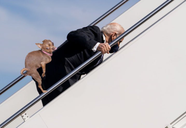Watch out Sleepy Joe!

$HUMPY is coming