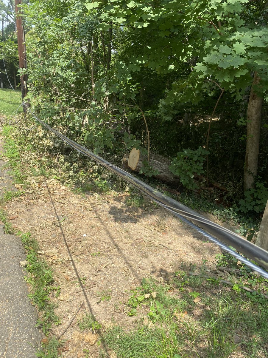 cherylbee's tweet photo. @311DCgov power line down over path entrance. 44th st nw and Edmunds NW https://t.co/2uHy3wpKR4