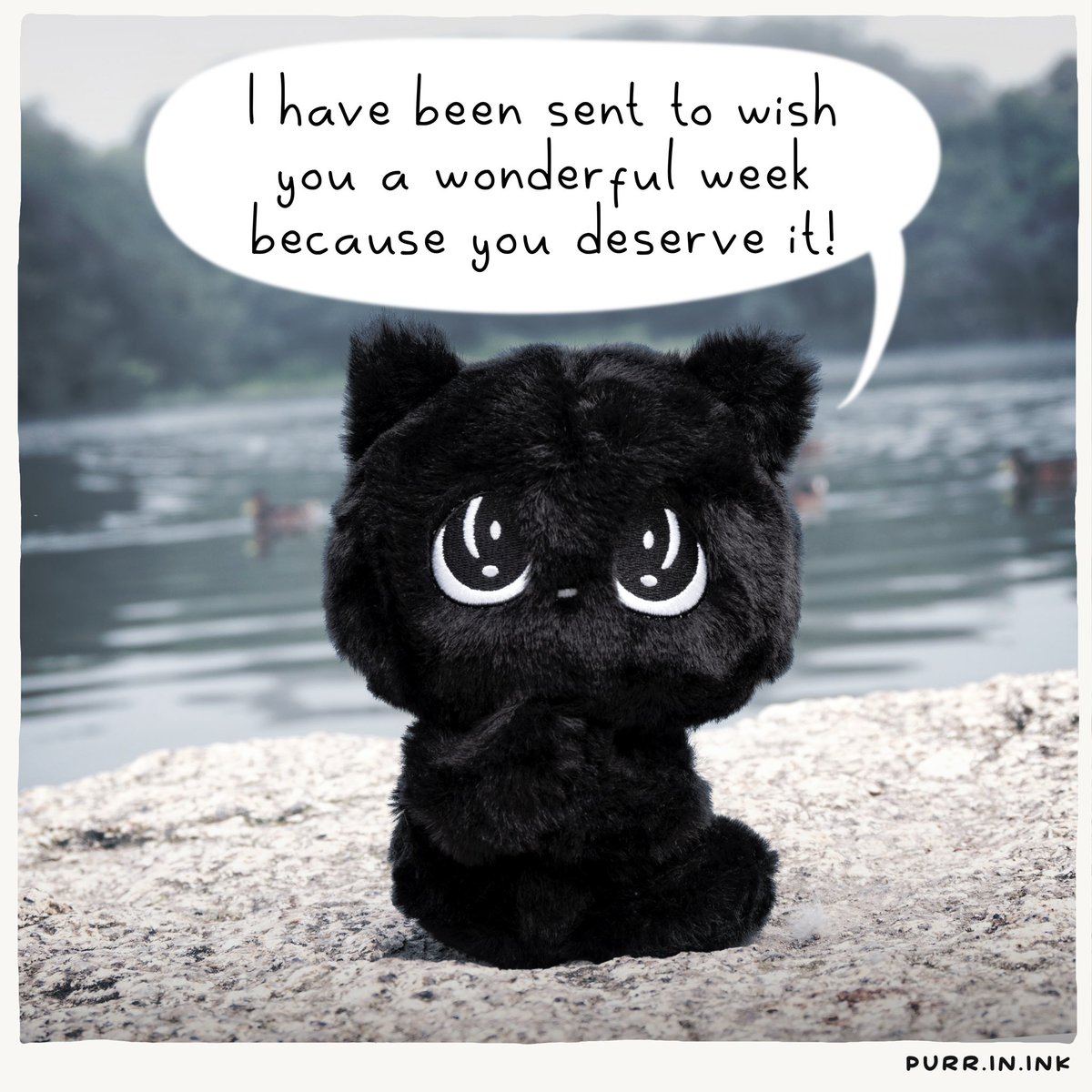 purrinink's tweet image. 🐾🐾🖤