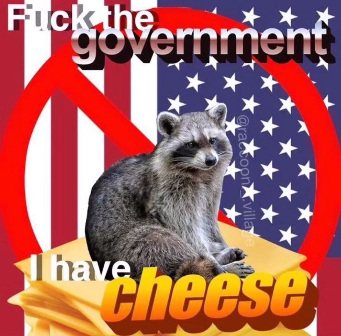 raccoonesthetic tweet picture