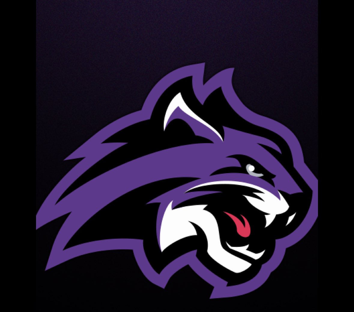 Maria Henson (@mariahenson2027) on Twitter photo I am blessed to received my first offer from <a href="/WileyUSoftball/">Wiley University Softball</a> ! Thank you <a href="/LvlUpSportsX/">Level Up Sports</a> for a great camp I had a blast! <a href="/LadyBucks_Sftbl/">Buckhorn Lady Bucks Softball</a> <a href="/Fusion_SBOrg/">Fusion Fastpitch Organization</a> I am blessed to received my first offer from <a href="/WileyUSoftball/">Wiley University Softball</a> ! Thank you <a href="/LvlUpSportsX/">Level Up Sports</a> for a great camp I had a blast! <a href="/LadyBucks_Sftbl/">Buckhorn Lady Bucks Softball</a> <a href="/Fusion_SBOrg/">Fusion Fastpitch Organization</a>