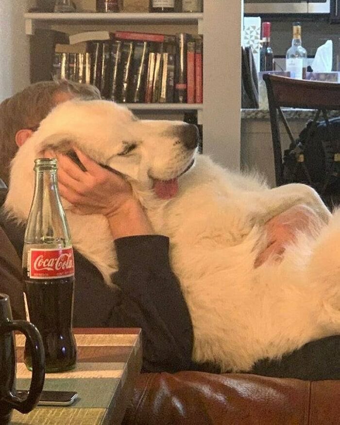 twaniimals's tweet photo. 🤍 https://t.co/IVVCaP2ZnP