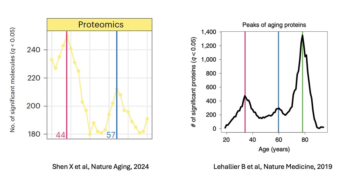EricTopol's tweet photo. This week a study of omics and aging reported 2 proteomic peaks around age 40 and 60 (in people aged 25-75 years)
https://t.co/kHUmJsTDXY @NatureAging 
Back in 2019, this had already been shown, with a 3rd big peak ~age 80 (in people age 18-95)
https://t.co/ZSB1AMIgtW @NatureMedicine