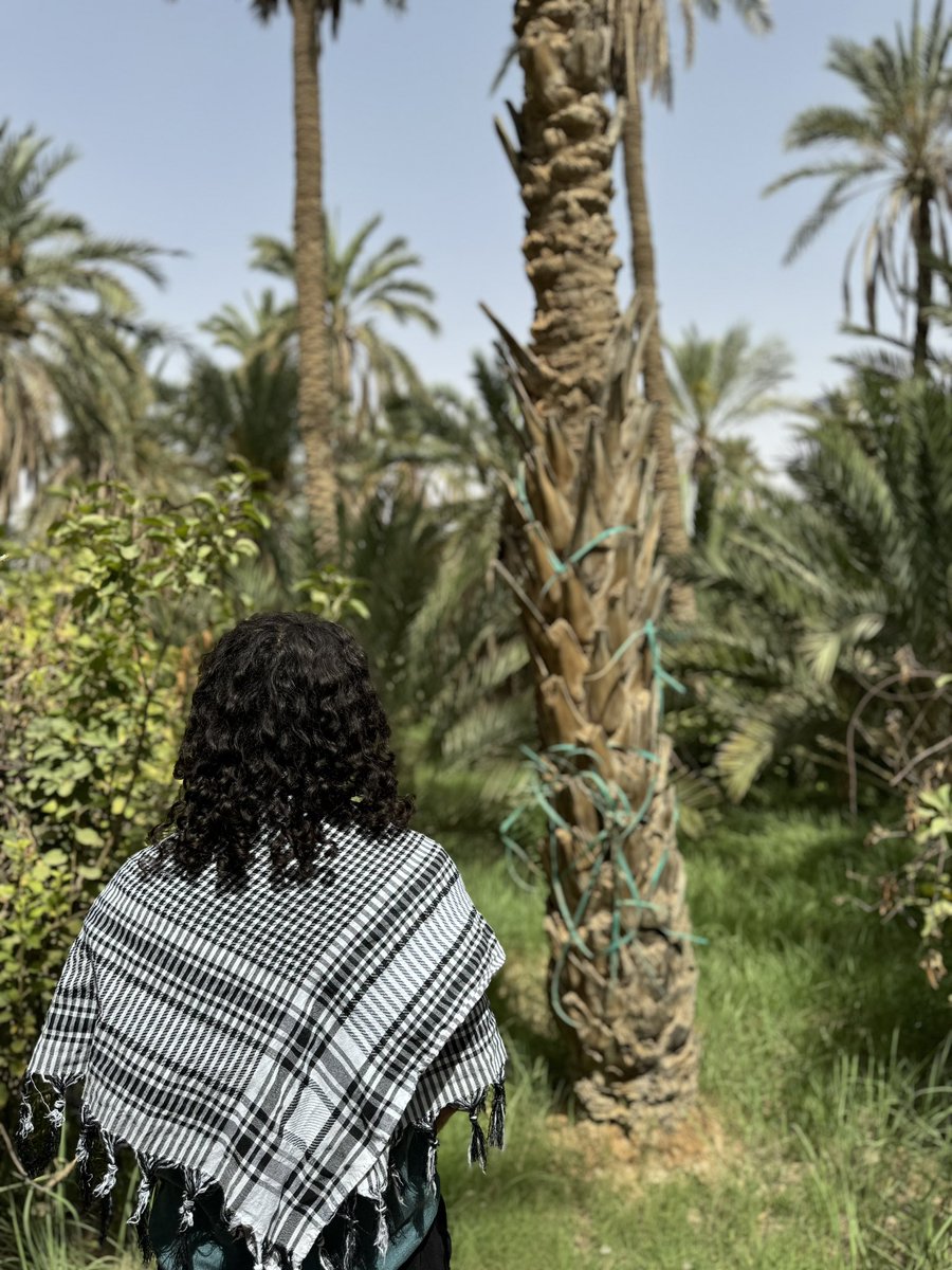 whysoficklee's tweet image. Category : pics from behind