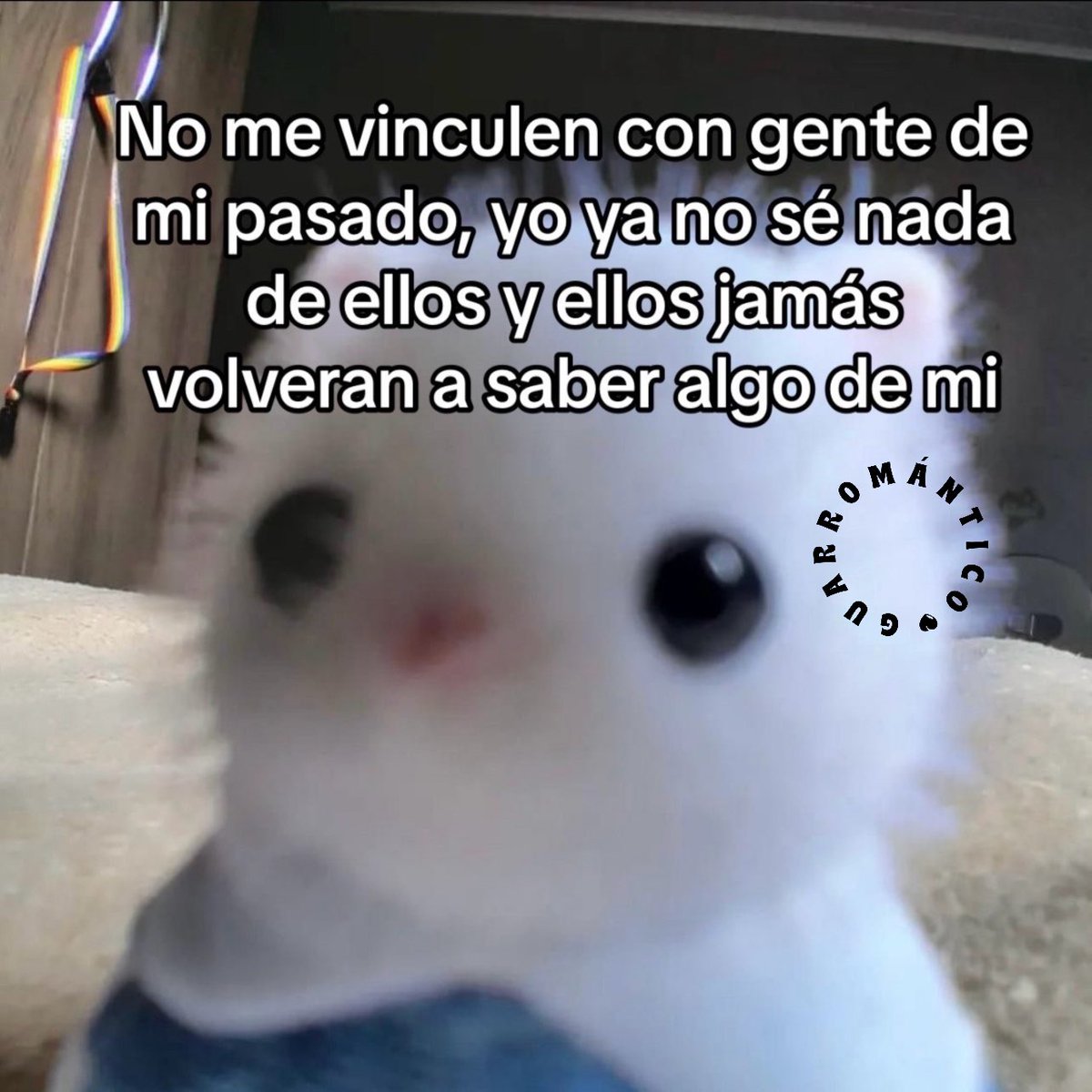 El Guarromántico tweet media