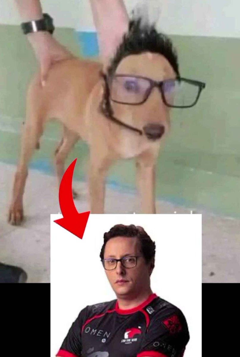 Imagens que consegues ver tweet media