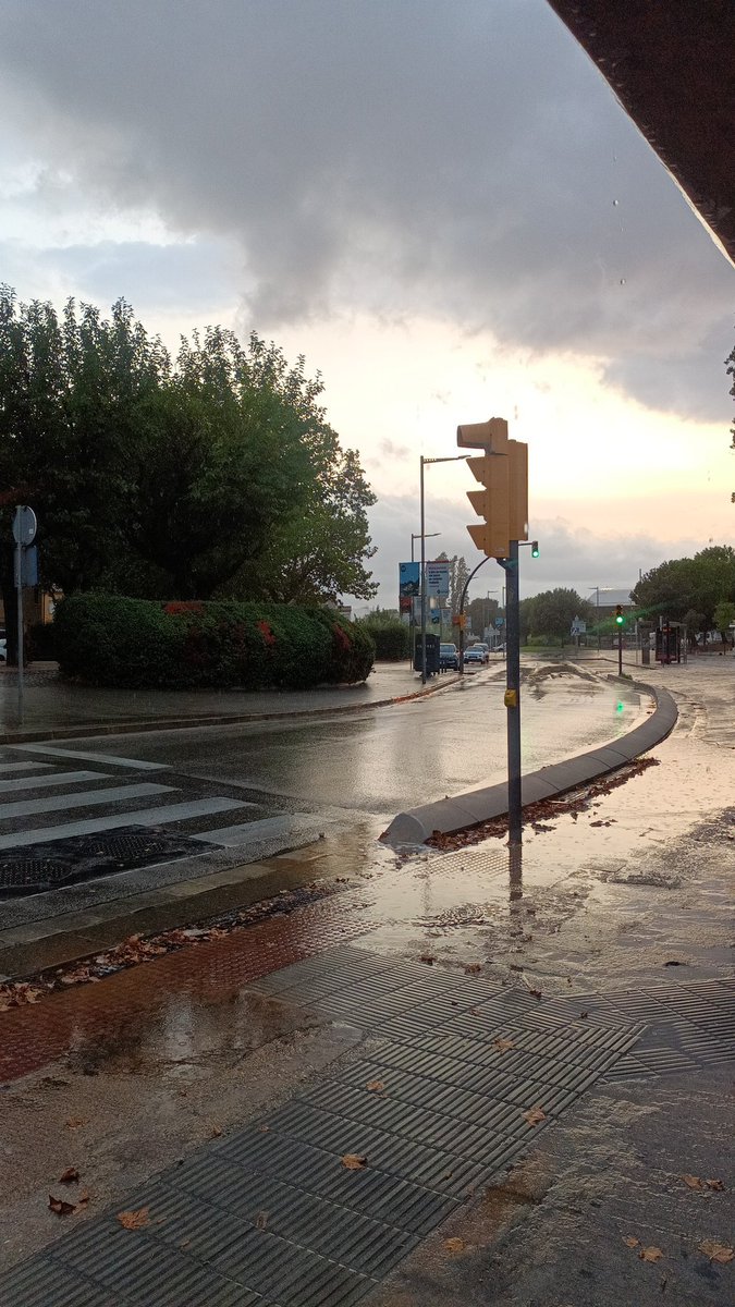Quant a l'estiu et dona per anar a fer una mica d exercici i a meitat de camí et cau la pluja a bots i barrals...