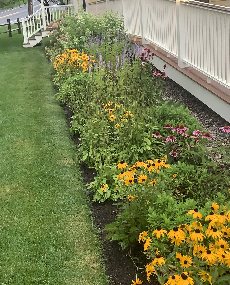 SylvieDahl's tweet image. #FlowerReport New England summer blooms. Congratulations to my cousin’s team for winning 1st place in the Vermont State Swim Meet - for the first time in 7 years. #JustKeepSwimming #Quechee #Vermont