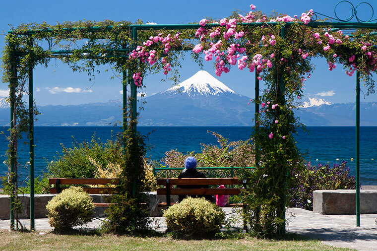 CharlieBio tweet media