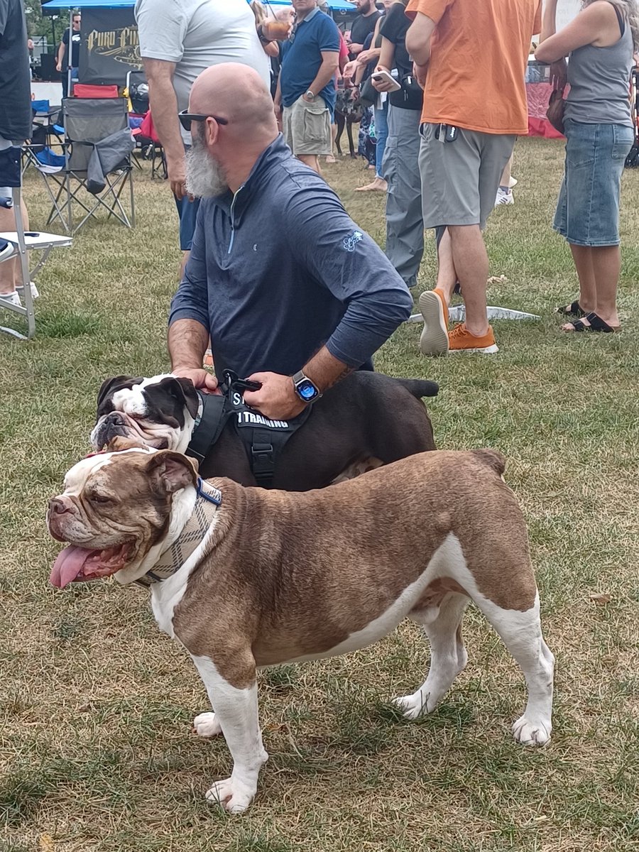 peter wilt - @pwilt1.bsky.social tweet media