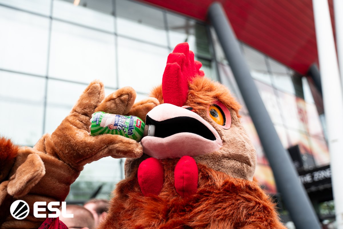Selbst den Chickens schmeckt die Müllermilch