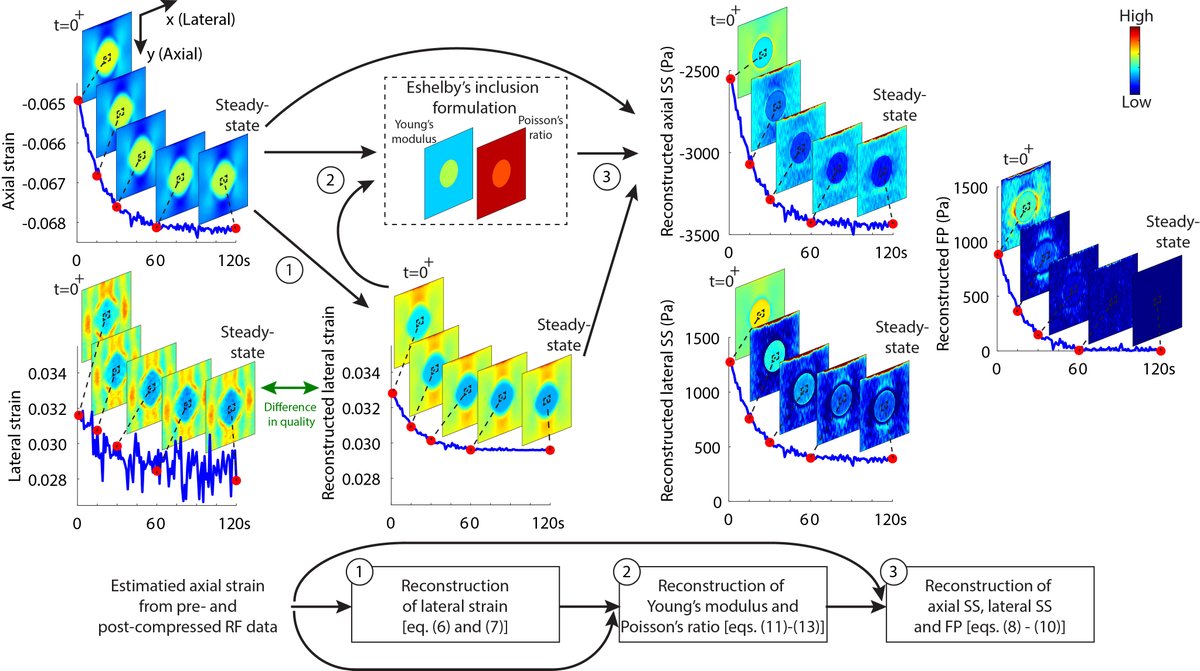 IEEE-TMI tweet media