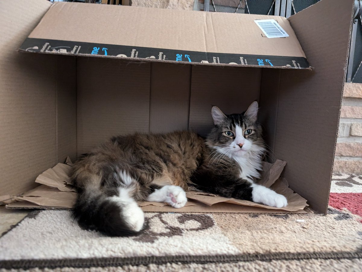 Needlessbob's tweet image. Suddenly live, just like the old days. Not much has changed except I got a real boy job 🤣

Time to DbD like the old days as well why not.
Twitch.tv/needlessbob