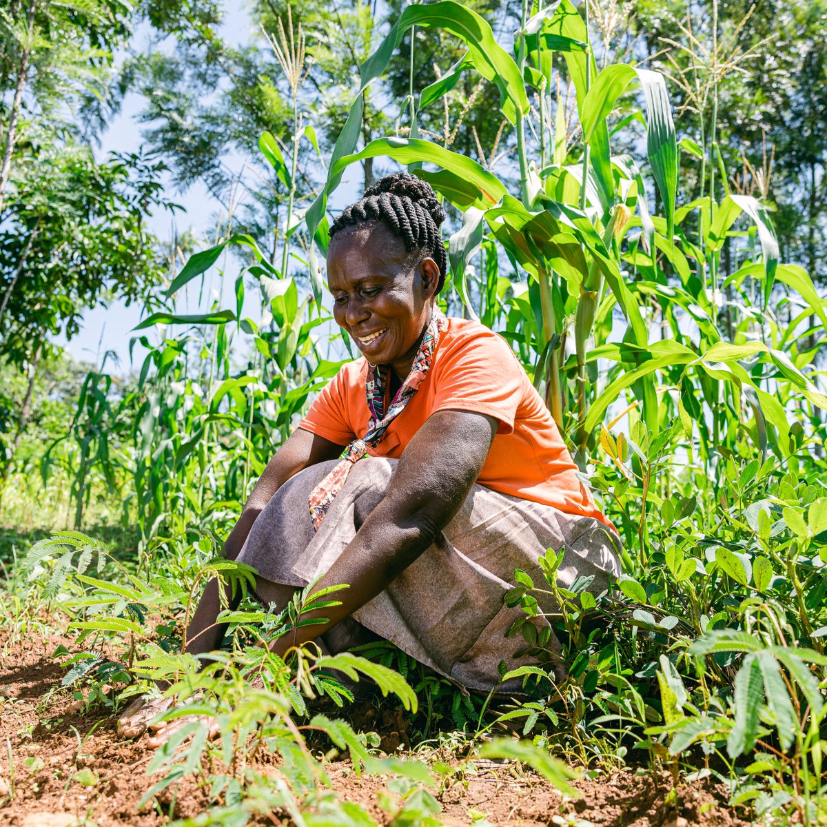 Today marks 3️⃣ 5️⃣ years of planting trees and changing lives 🎉 

Whether you've been with Trees for the Future since the beginning or have just recently discovered us, we're glad to be doing this work with you. Thank you!