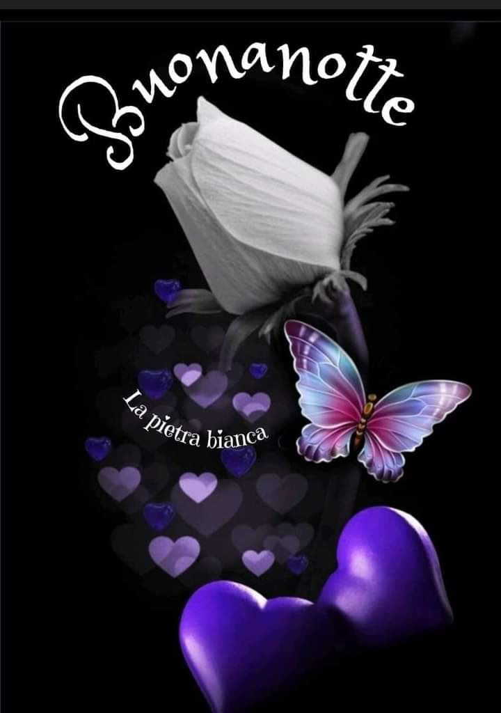 RITABIANCHi56 tweet media