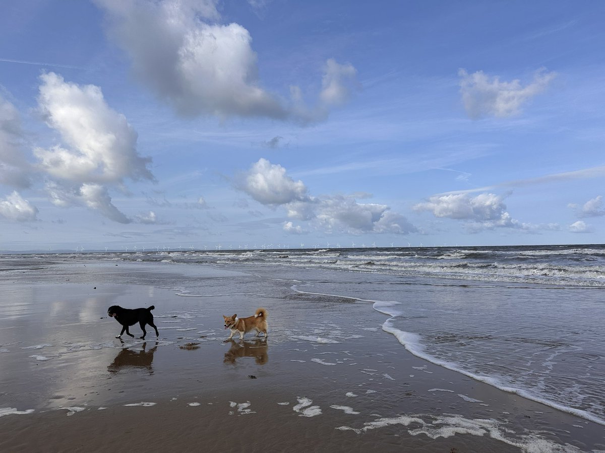 LucyBray9's tweet photo. 67 #NHS1000miles #ActiveNurses walked by the 🌊 this week.
Loving the 🌅 and the ☀️- good for the soul!
Love scrolling through everyone’s active pics 😍 https://t.co/CXVEofjlx5