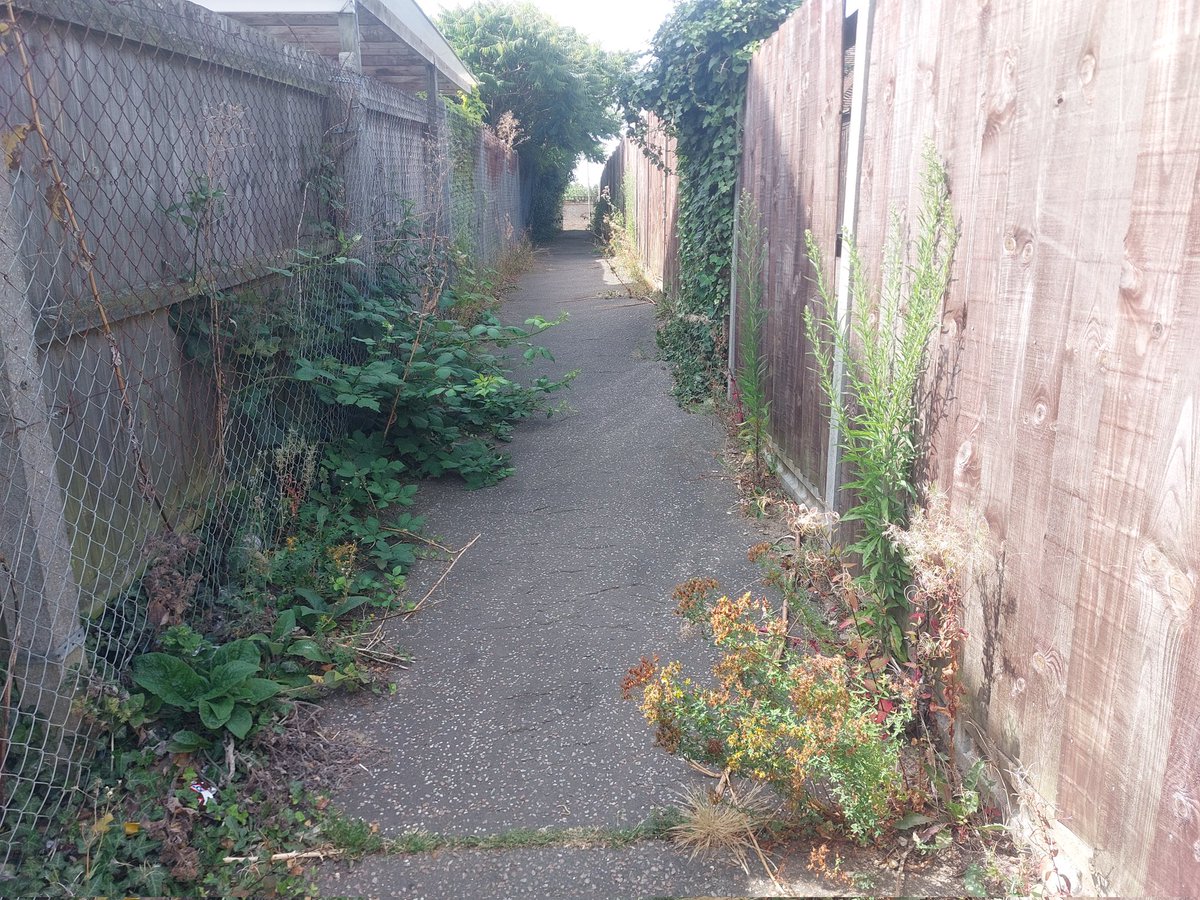 Cllr Lee Scordis tweet media