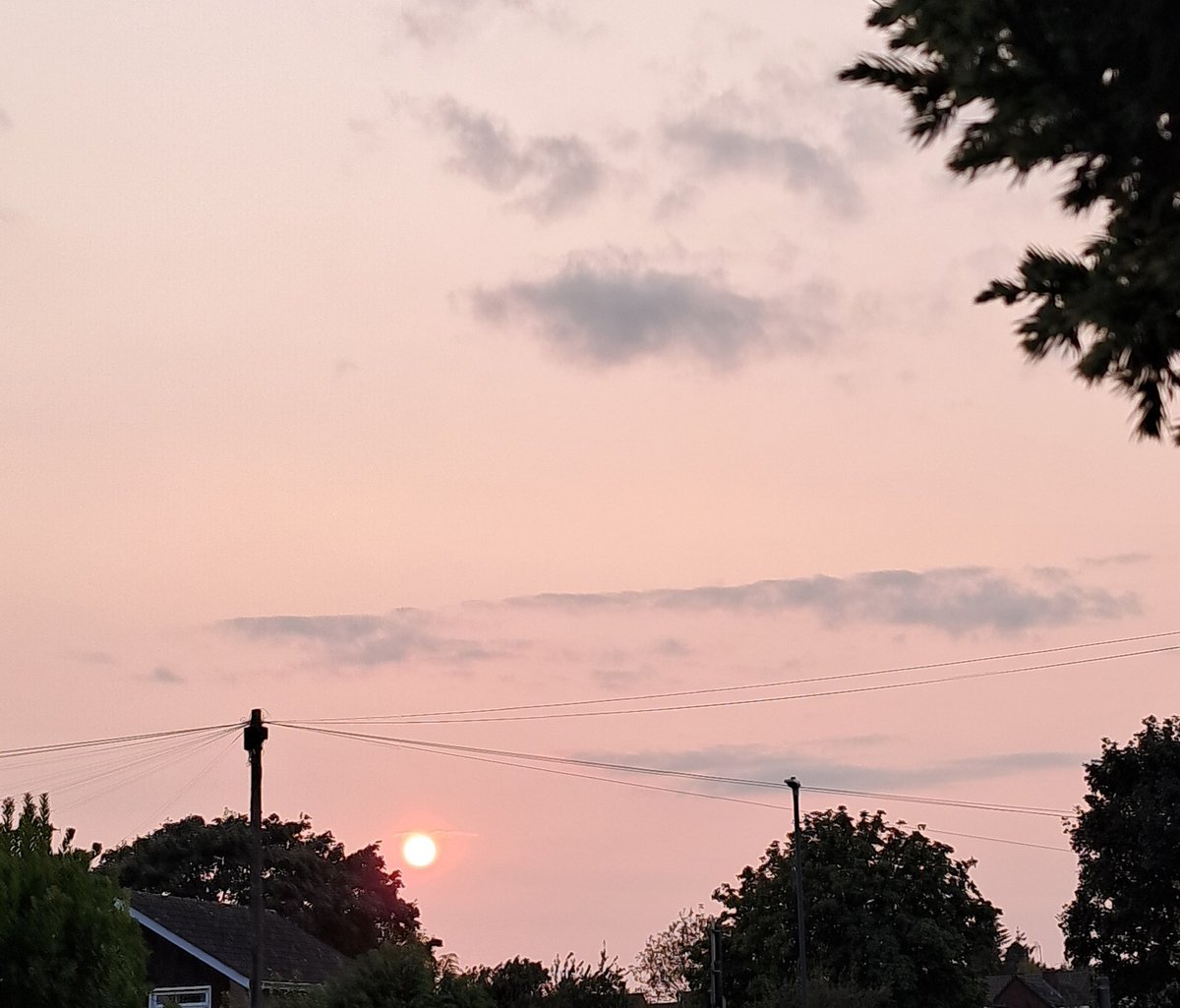 mark stuart tweet media